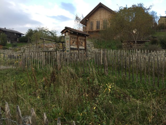 Wildbienengarten